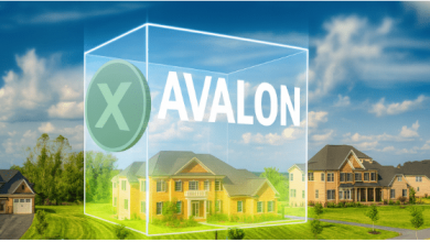 i-turned-$1,000-into-$1m-with-bitcoin,-$2m-with-ethereum-here’s-why-i’m-buying-avalon-x-at-$0.005