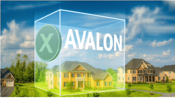i-turned-$1,000-into-$1m-with-bitcoin,-$2m-with-ethereum-here’s-why-i’m-buying-avalon-x-at-$0.005