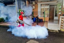 inside-the-mind-of-a-pest:-understanding-behavior-to-keep-them-away